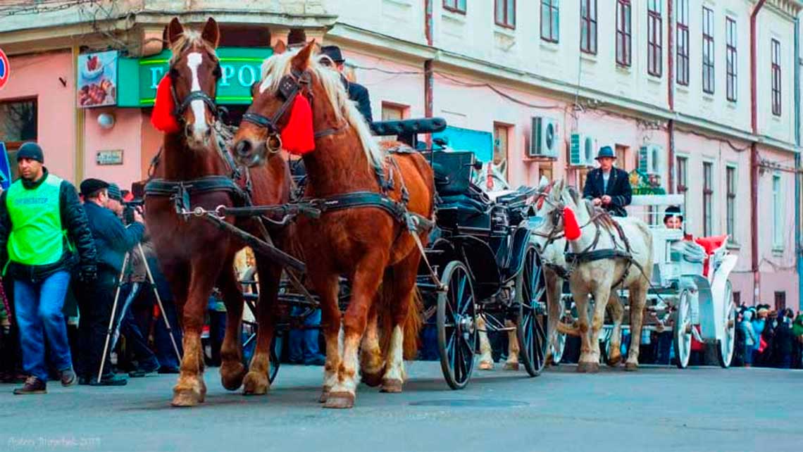 bukovyna-sviata-podii