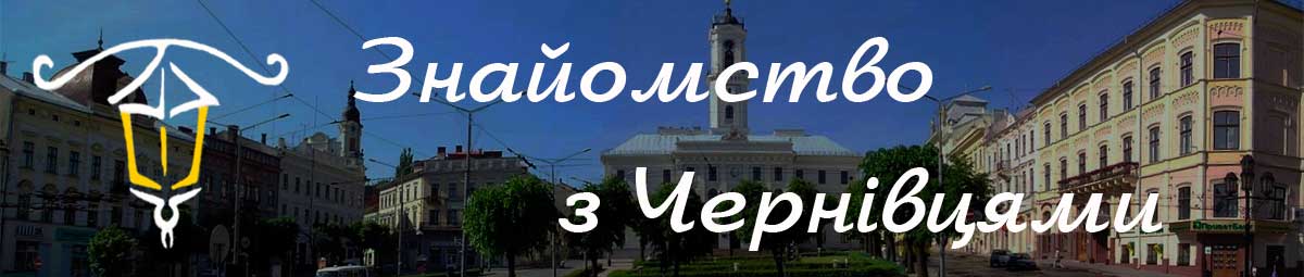 cvcity