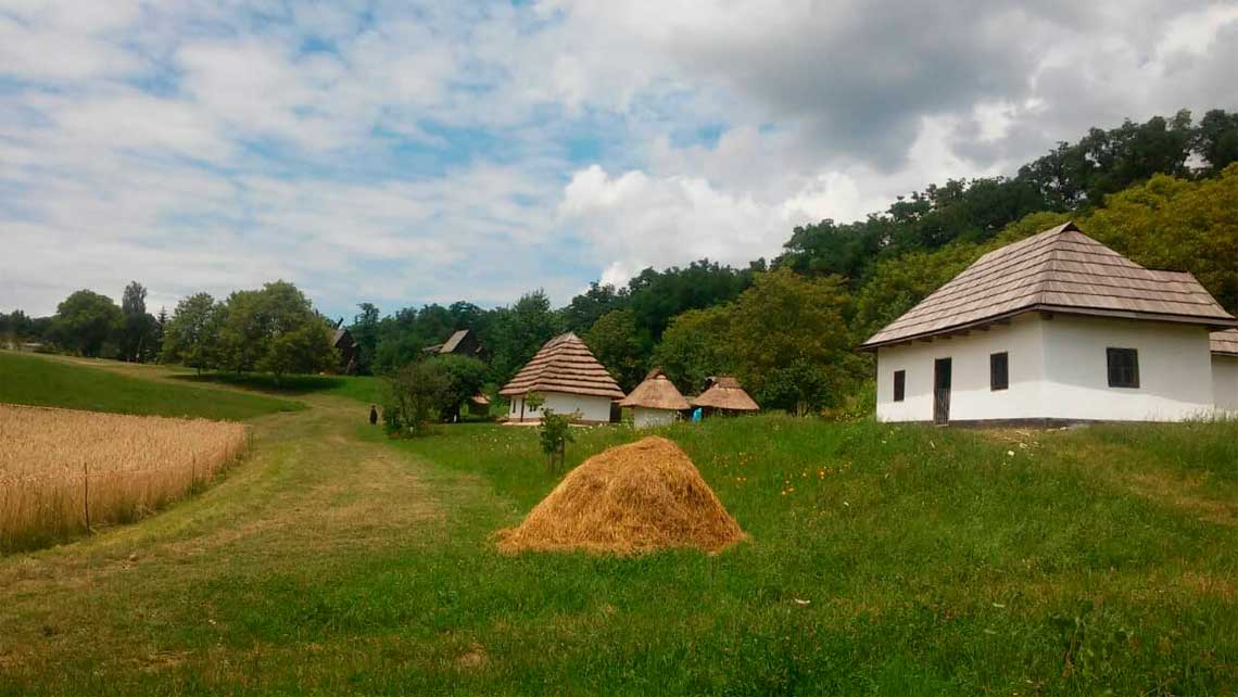 chernivtsi-scansen