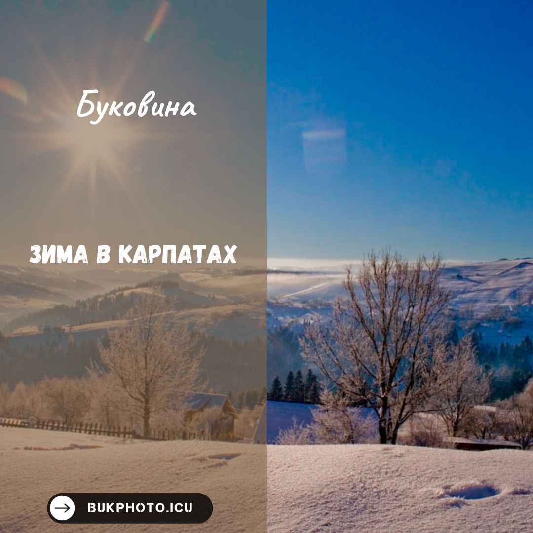 bukphoto