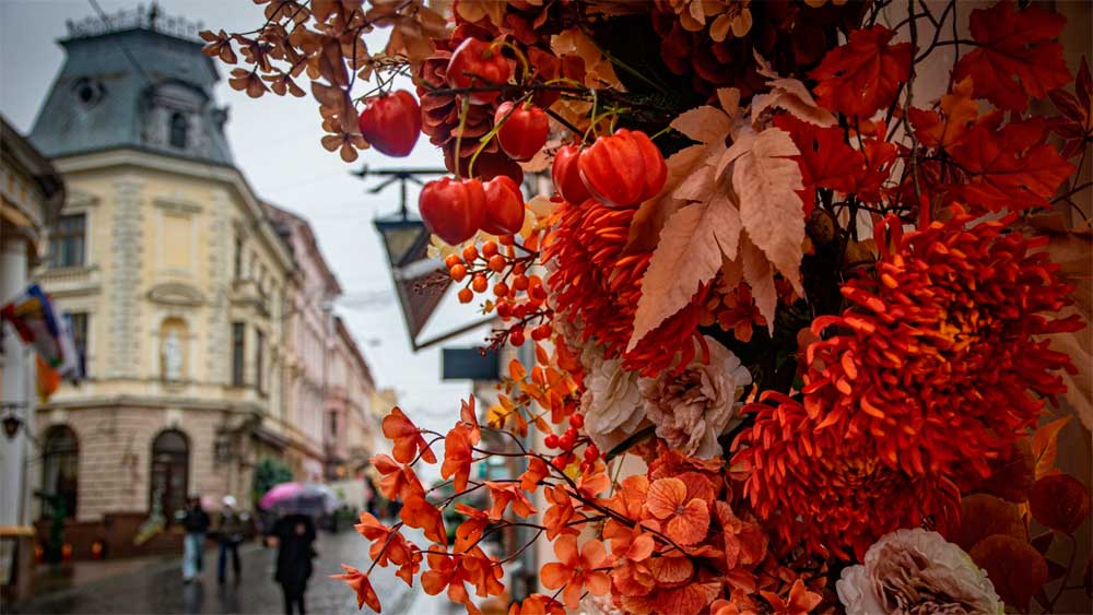 chernivtsi-osin-2025