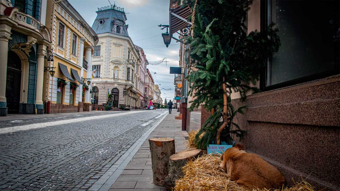 chernivtsi-misto-bez-pospihu