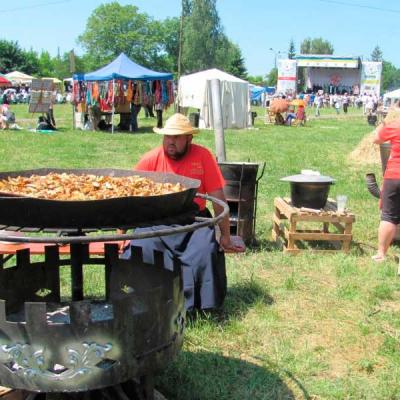 obnova-fest-2015