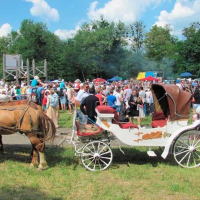 obnova-fest-2015