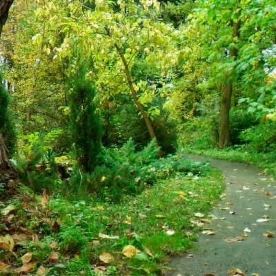 chernivtsi-botanichnyi-sad