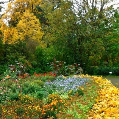chernivtsi-botanichnyi-sad