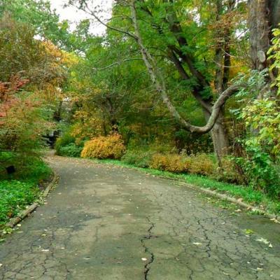 chernivtsi-botanichnyi-sad
