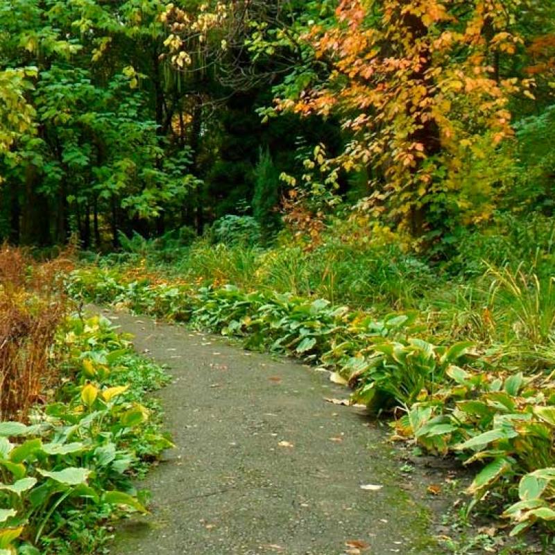 chernivtsi-botanichnyi-sad