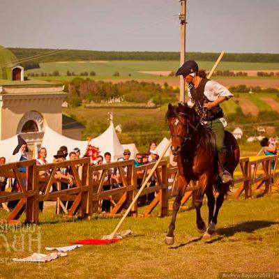 serednovichnyi-khotyn-2013