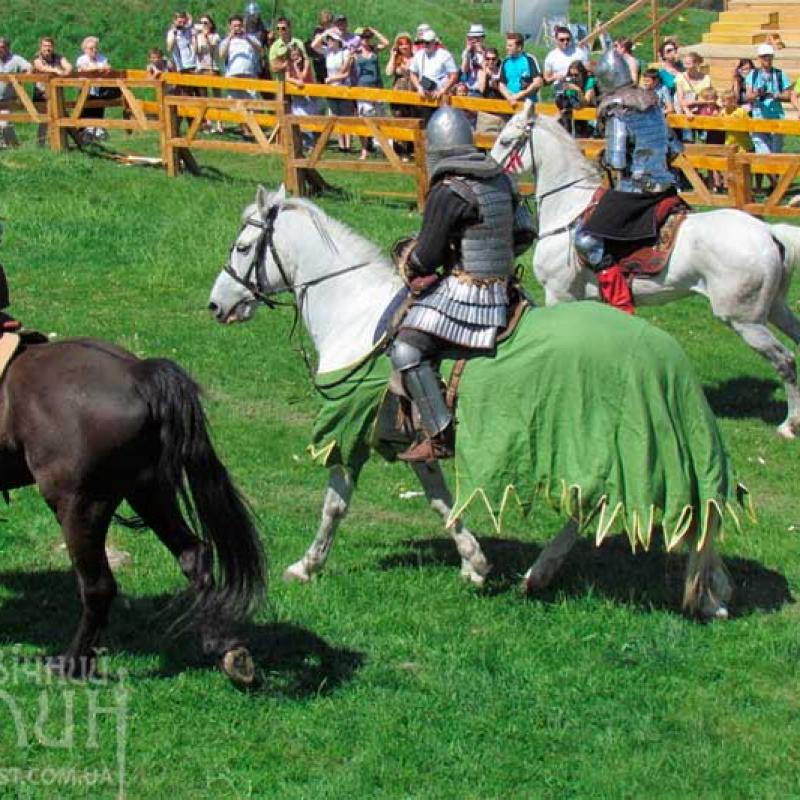 serednovichnyi-khotyn-2013