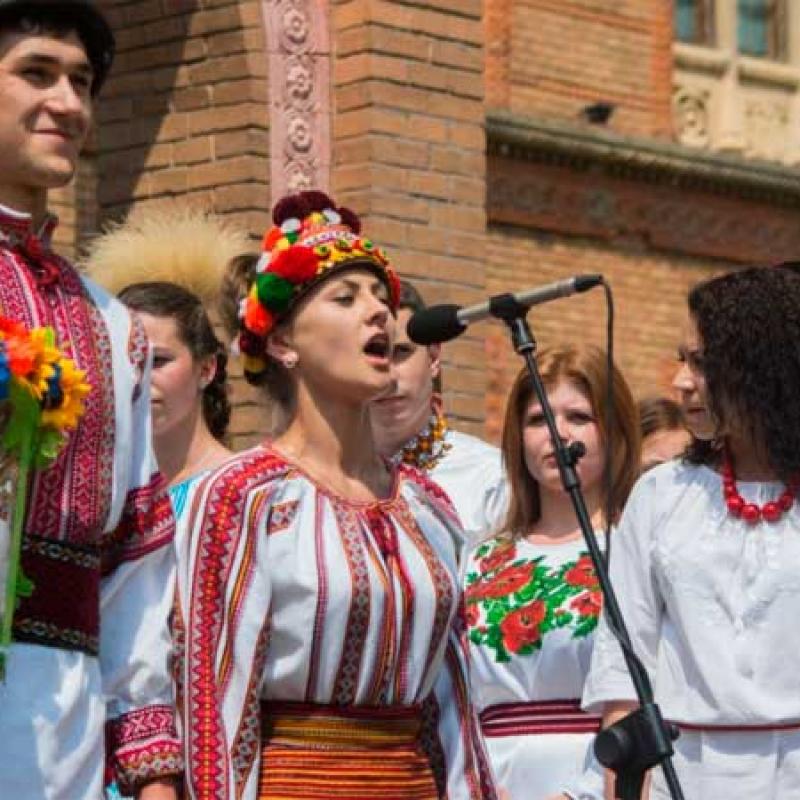 den-vyshyvanky-2013