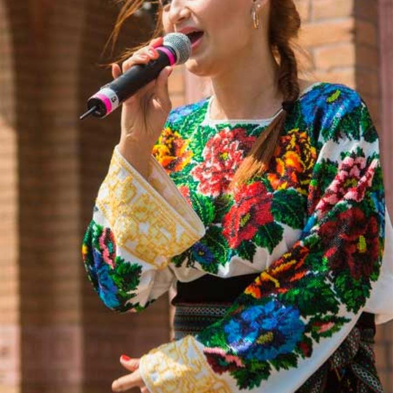 den-vyshyvanky-2013
