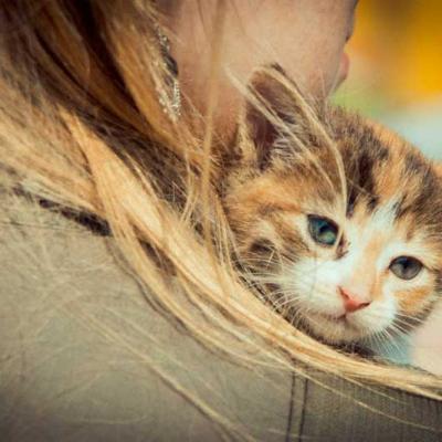 ekoiarmarok-frimarket-2013