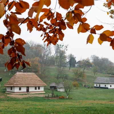chernivtsi-scansen