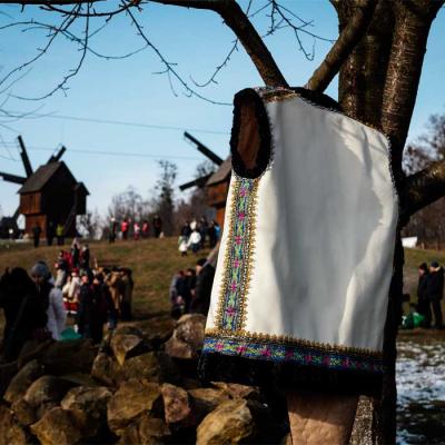 chernivtsi-scansen