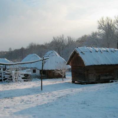chernivtsi-scansen
