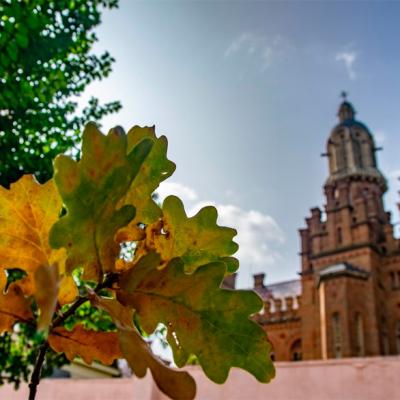 osinni-chernivtsi-vid-c4