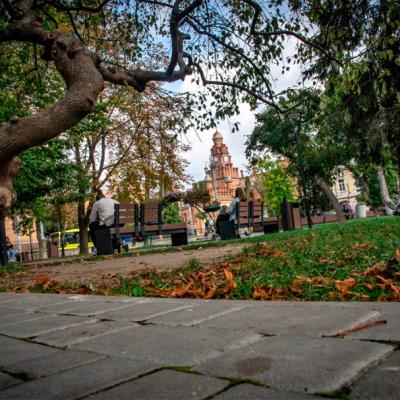 osinni-chernivtsi-vid-c4