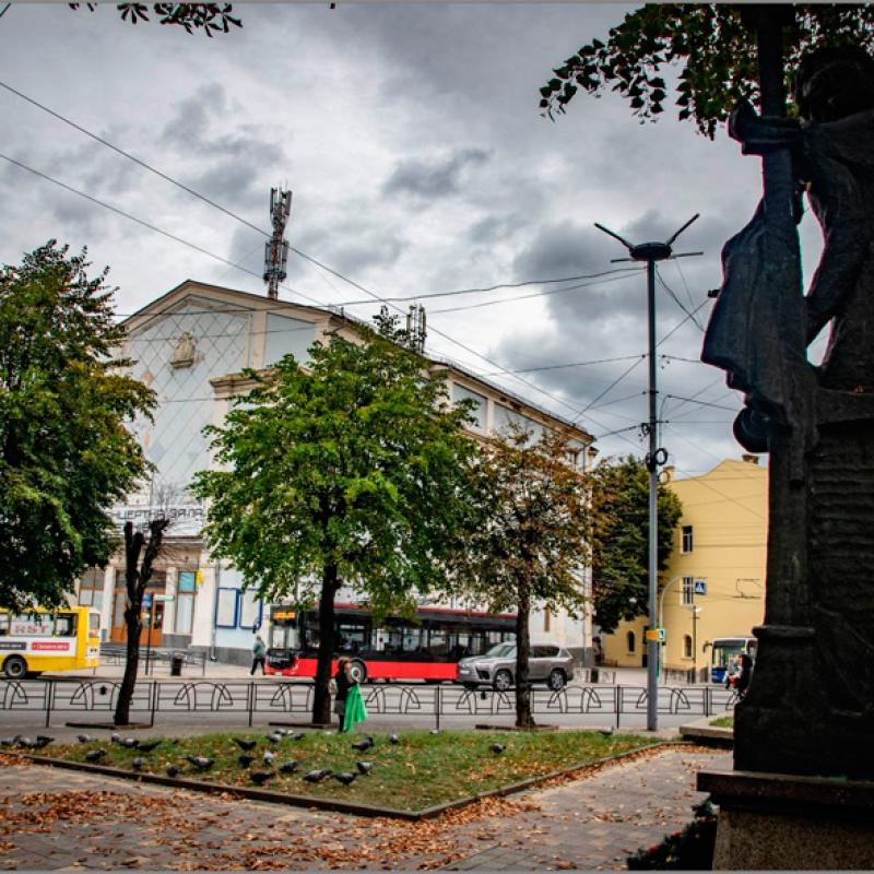 osinni-chernivtsi-vid-c4