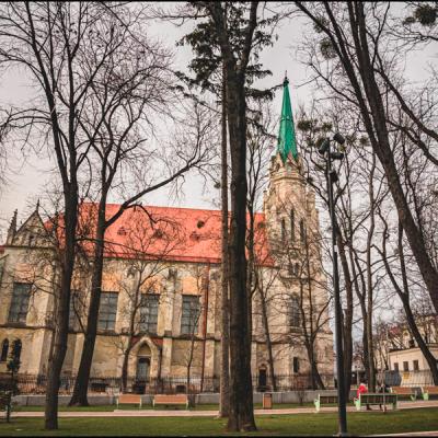 osinni-chernivtsi-vid-c4