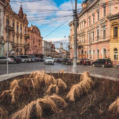 osinni-chernivtsi-vid-c4