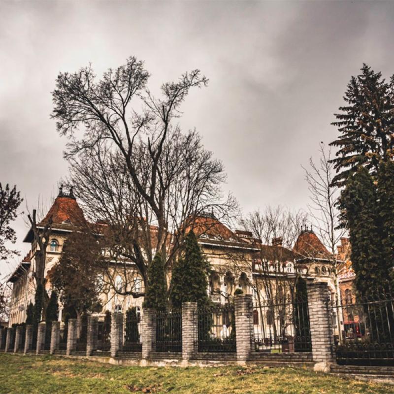 osinni-chernivtsi-vid-c4
