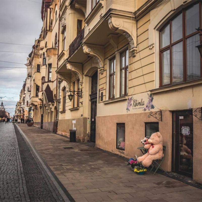 osinni-chernivtsi-vid-c4