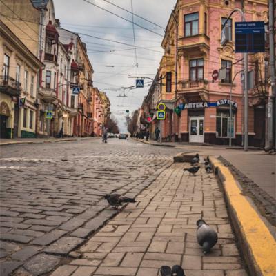 osinni-chernivtsi-vid-c4
