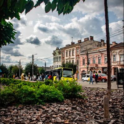 osinni-chernivtsi-vid-c4