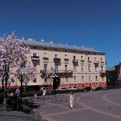 chernivtsi-tsvite-sakura-2024