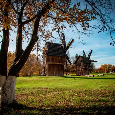 u-osinnomu-skanseni