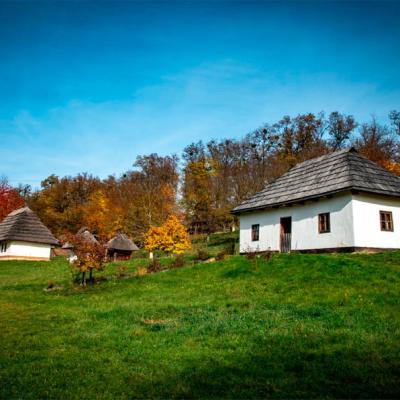 u-osinnomu-skanseni