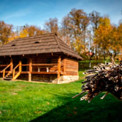 u-osinnomu-skanseni