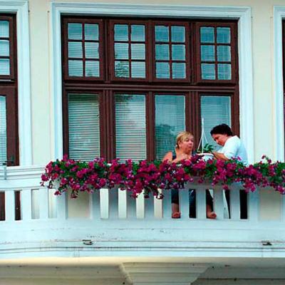 chernivtsi-v-sertsi-bukovyny