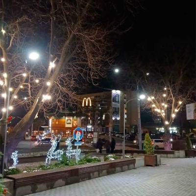novorichni-chernivtsi