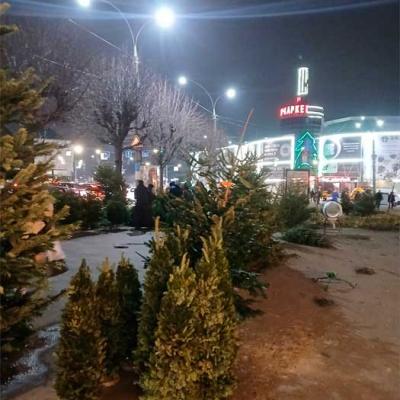 novorichni-chernivtsi