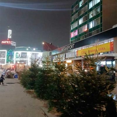 novorichni-chernivtsi