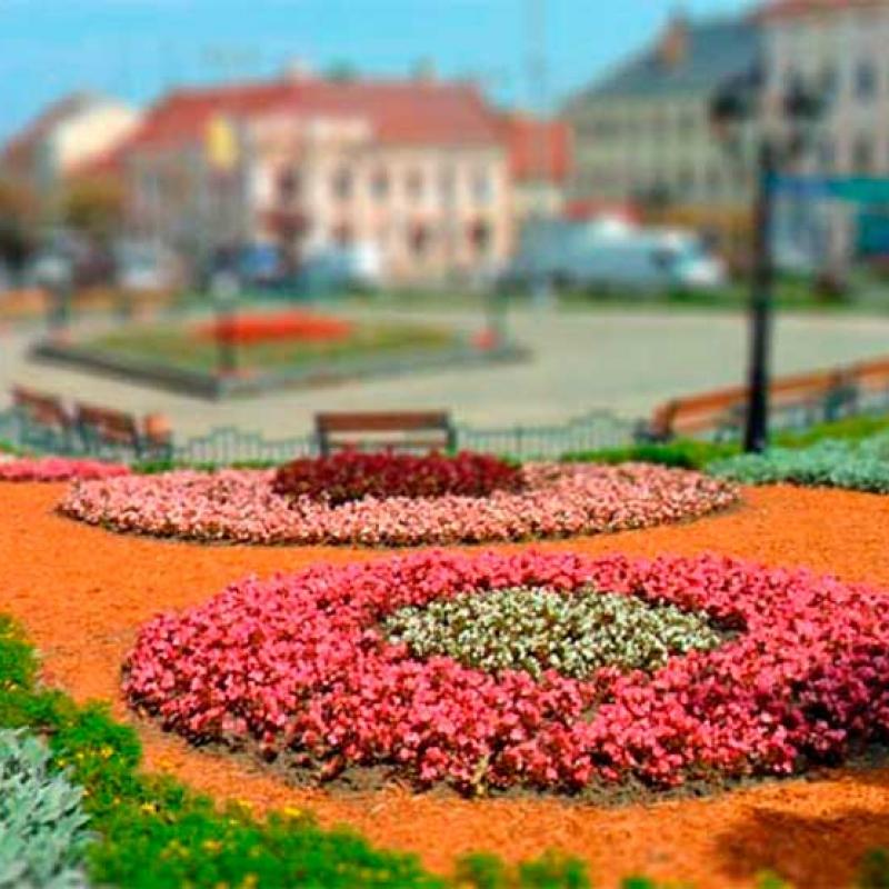 mini-chernivtsi
