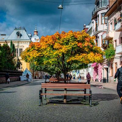 сhernivtsi-autumn-2025