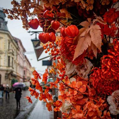 сhernivtsi-autumn-2025