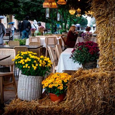 сhernivtsi-autumn-2025