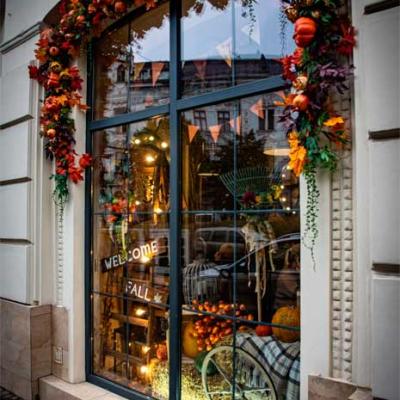сhernivtsi-autumn-2025
