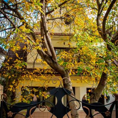 сhernivtsi-autumn-2025