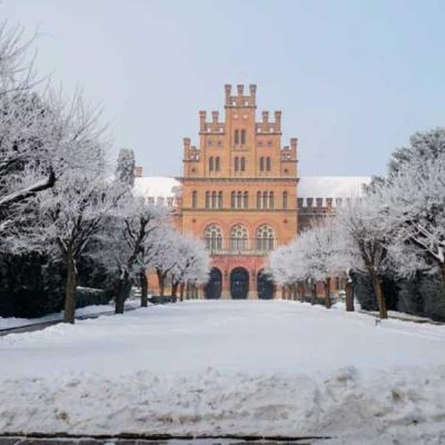 zymovi-chernivtsi