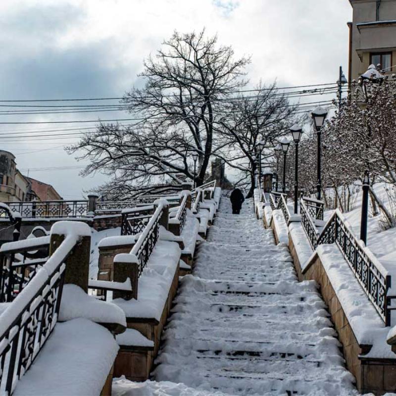 zymovi-chernivtsi