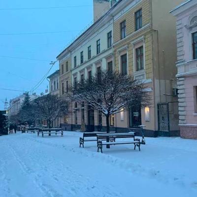 zymovi-chernivtsi
