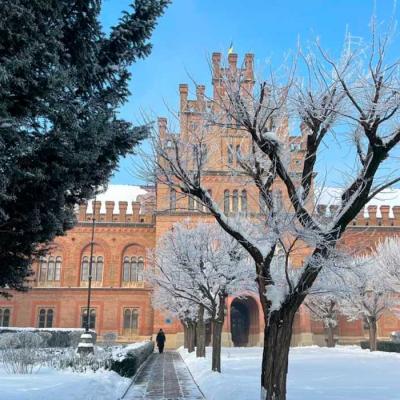zymovi-chernivtsi