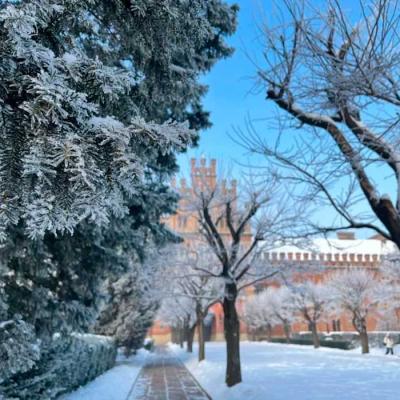 zymovi-chernivtsi