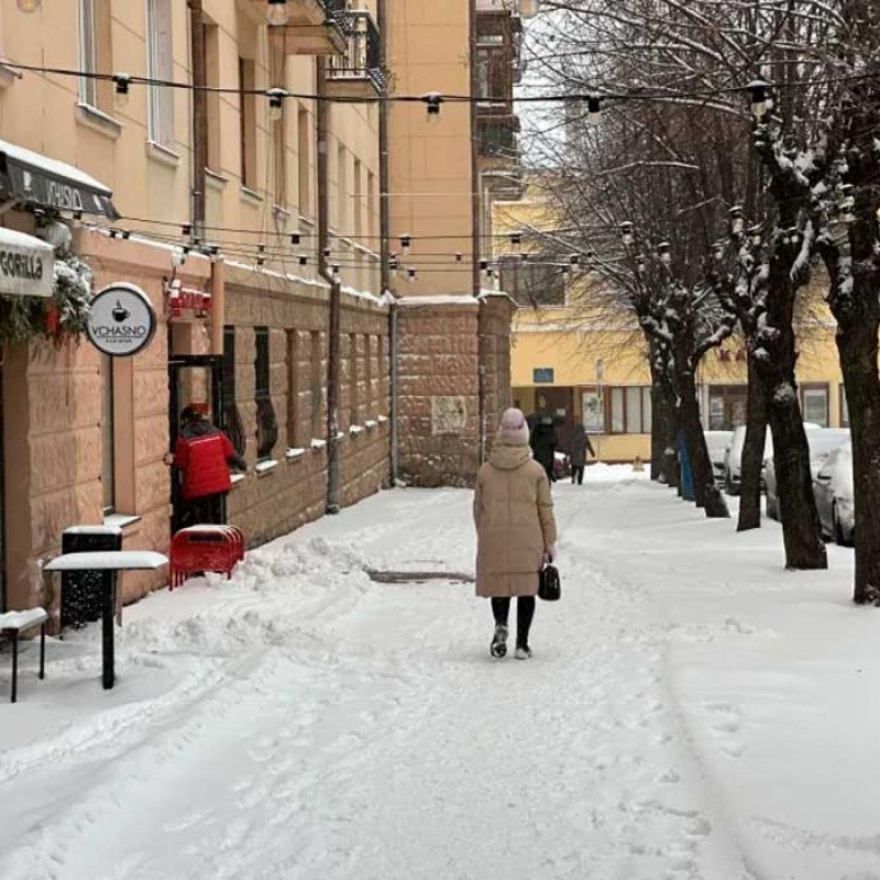 zymovi-chernivtsi