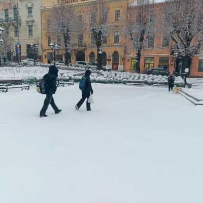 zymovi-chernivtsi